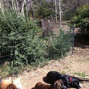 Meet your Posher, Joanne